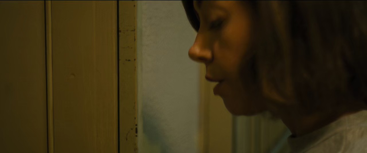 Emily the Criminal (2022) WEBRip Hindi + English 720p 10bit HEVC HE-AAC 5.1 MSub.mkv.0002